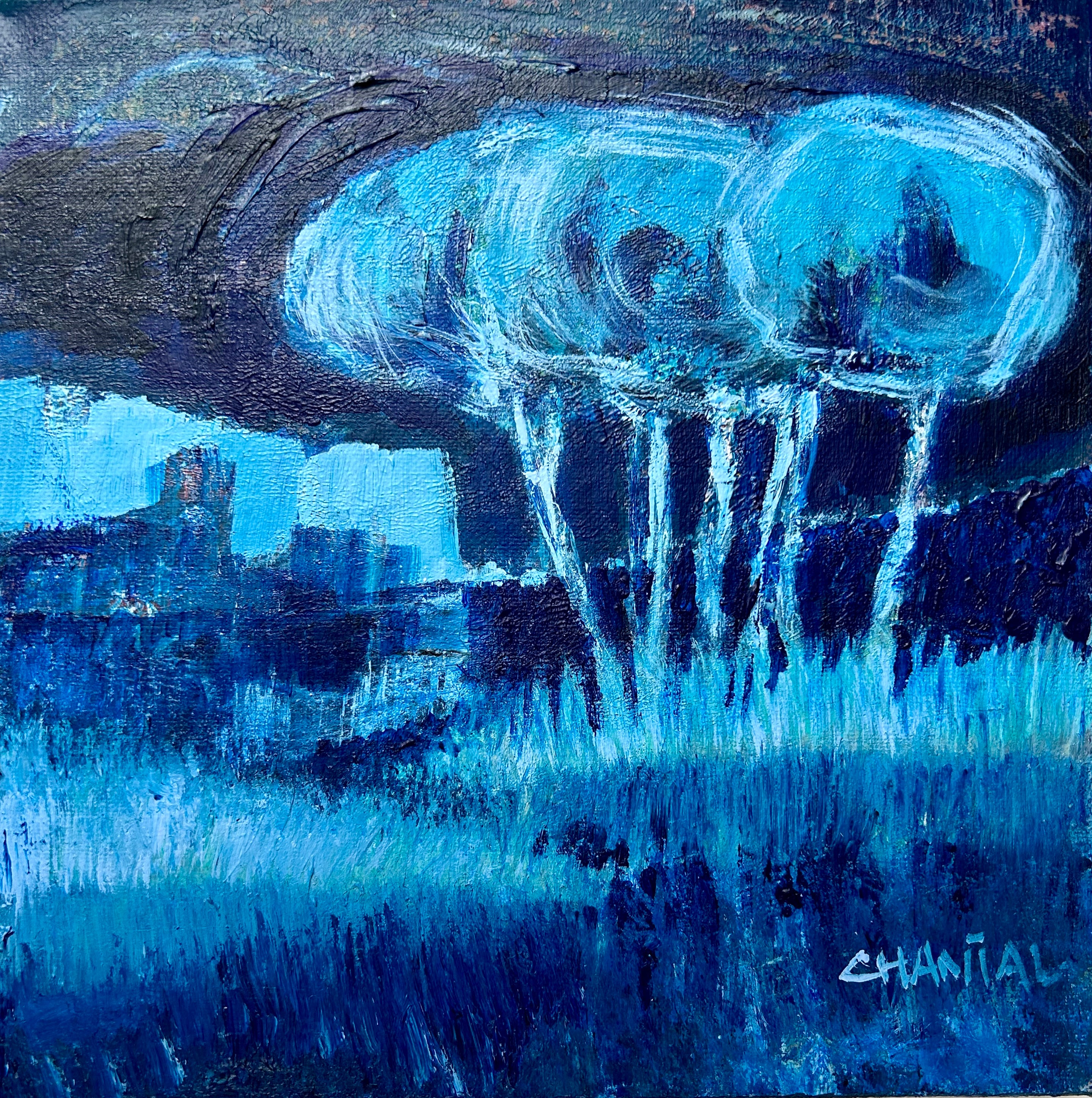 Chantal Jonassen, galleri, Mols, Rønde, Syddjurs, natur, spejling,blå, blue, blånat, night